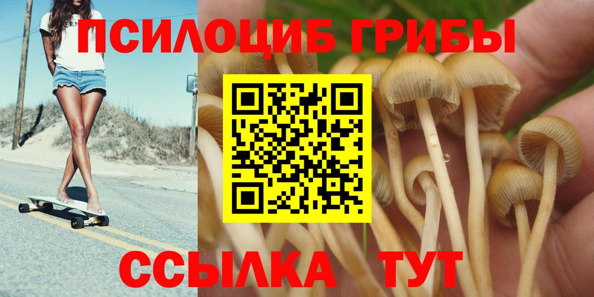 Галлюциногенные грибы прущие грибы Луховицы